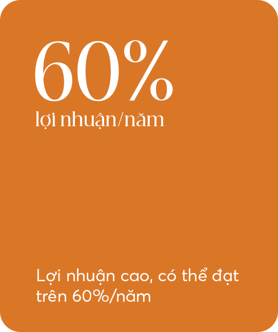 Lợi nhuận cao, có thể đạt trên 60%